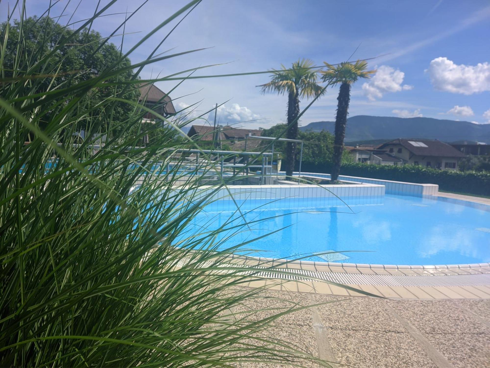 Garni Saltneregg Hotel Caldaro Ngoại thất bức ảnh